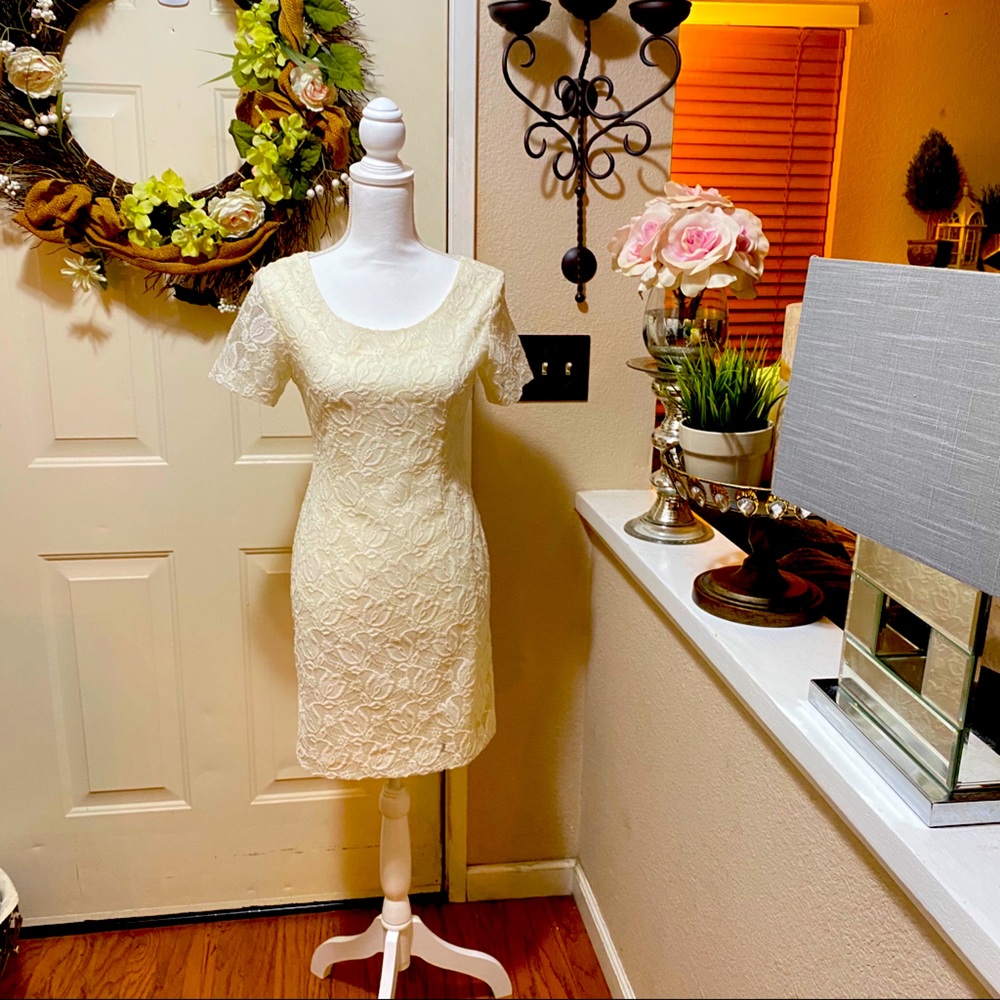 Beautiful Vintage Adrianna Nude Lace Overlay Dress - Gem